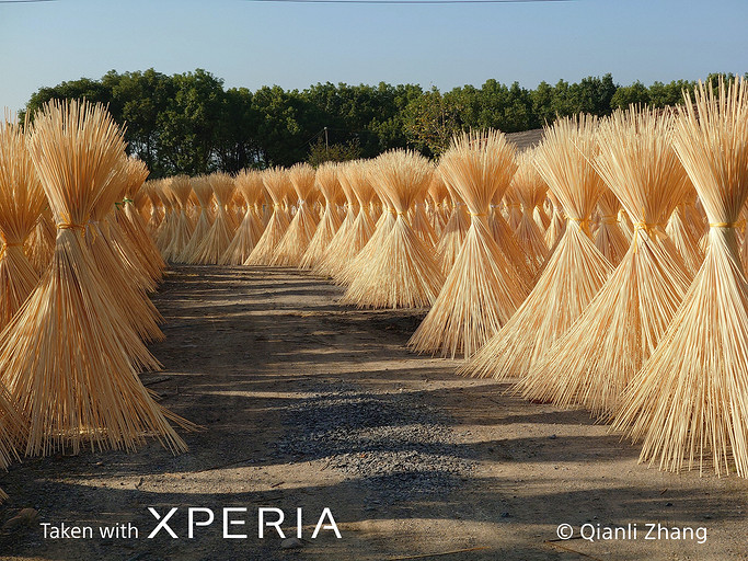 Лучший камерофон в мире — Sony, показала, как снимает Xperia PRO-I