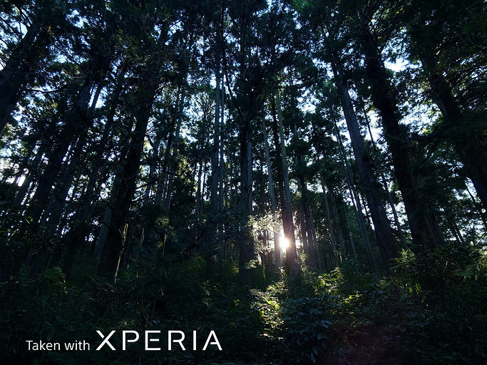 Лучший камерофон в мире — Sony, показала, как снимает Xperia PRO-I