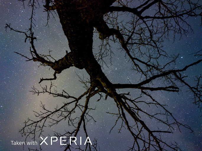 Лучший камерофон в мире — Sony, показала, как снимает Xperia PRO-I