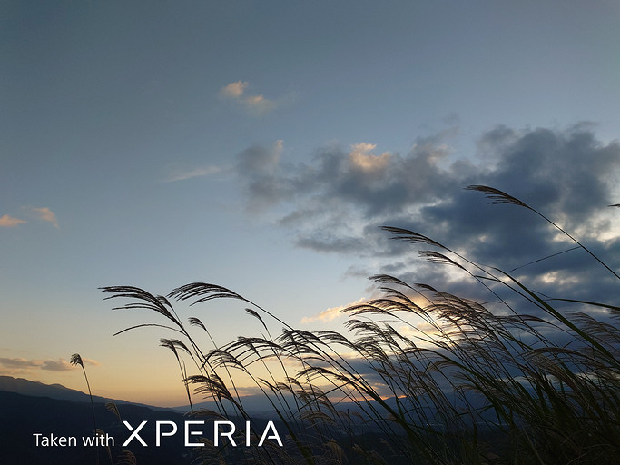 Лучший камерофон в мире — Sony, показала, как снимает Xperia PRO-I