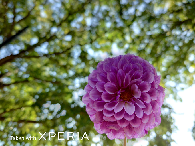 Лучший камерофон в мире — Sony, показала, как снимает Xperia PRO-I