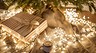 Елка, не гори: 5 безопасных новогодних украшений 