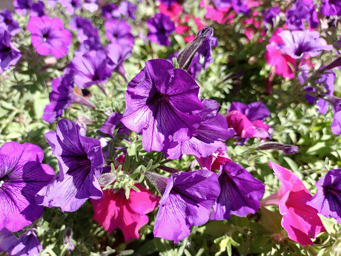 Обзор смартфона Vivo V21: необычный дизайн и селфи в 44 Мп