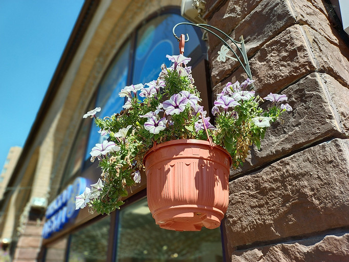 Обзор смартфона Vivo V21: необычный дизайн и селфи в 44 Мп