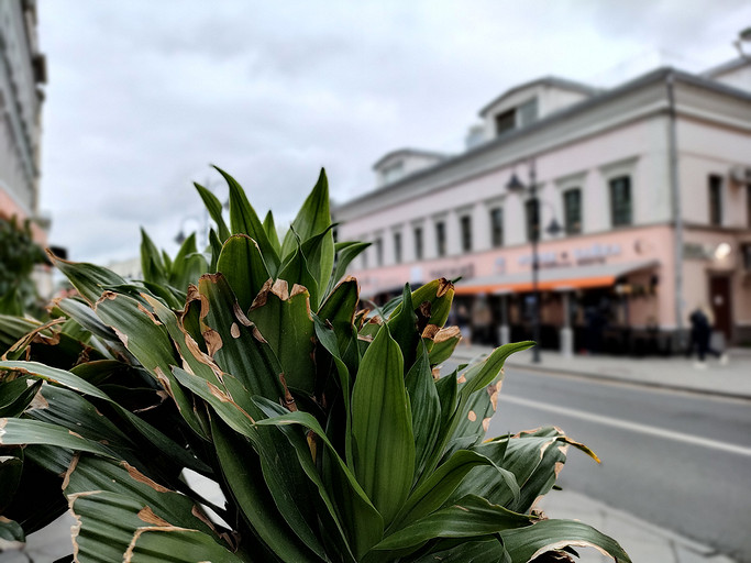 Обзор смартфона OPPO Reno6: быстрая зарядка и камера 64 Мп