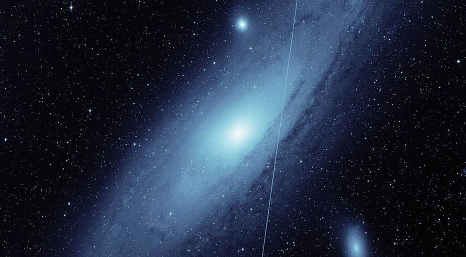 Илон Маск планирует чипировать людей уже в этом году - ученые негодуют, но по другому поводу