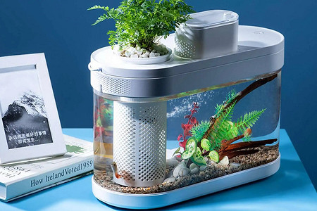 7 необычных подарков, которые могут удивить