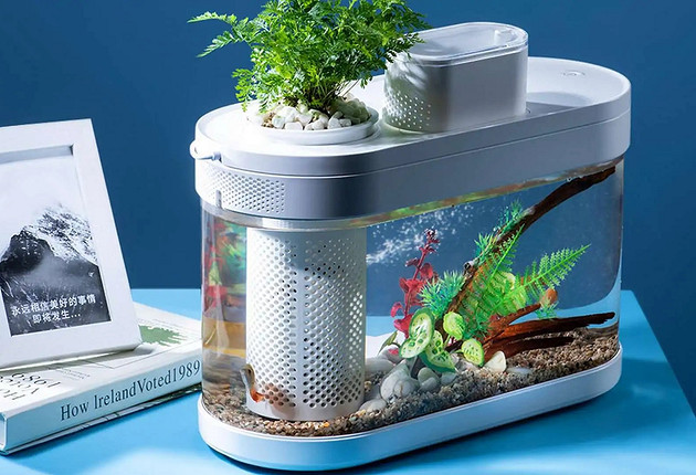 7 необычных подарков, которые могут удивить