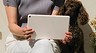 Google тизерит свой первый планшет Pixel Tablet