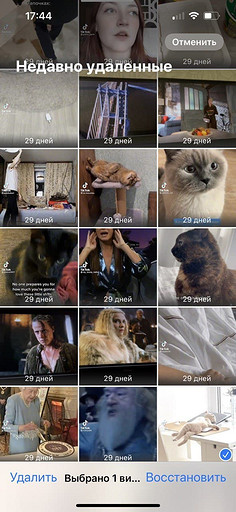Как восстановить удаленные фото на iPhone: 4 простых способа