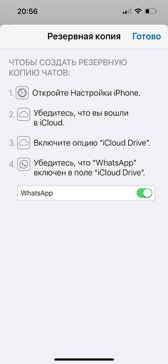 Как сделать резервную копию WhatsApp на смартфоне: инструкция для Android и iPhone