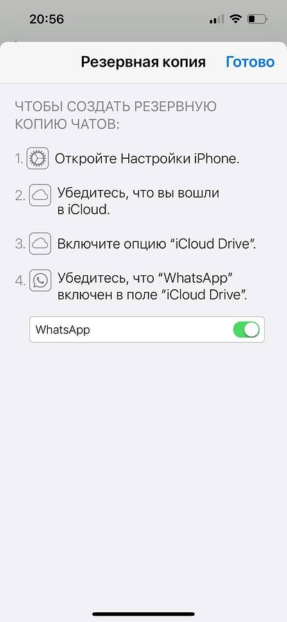 Как сделать резервную копию WhatsApp на смартфоне: инструкция для Android и iPhone