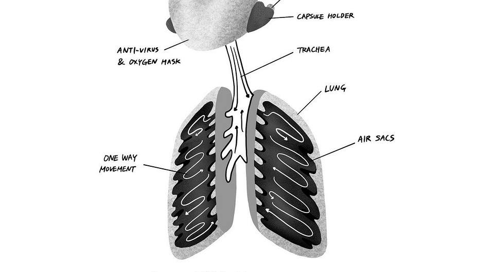 Ученые придумали искусственные легкие, которые повысят эффективность дыхания в 4 раза