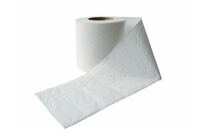 В России предлагают наладить производство каменной туалетной бумаги