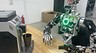 В России создан Robo-C — это не Терминатор, а добрый робот-компаньон