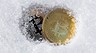 Bitcoin всё? Криптовалюта рухнула ниже $20 000, а любимая монета майнеров Ethereum теперь стоит меньше $1000