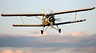 В России собираются выпускать беспилотные самолеты на базе «кукурузника», разработанного еще в 1947 году