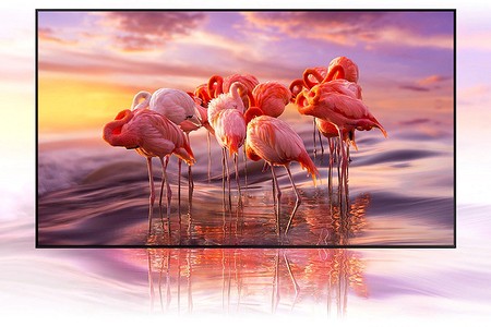 Телевизоры 55 дюймов: какой выбрать в 2024 году?