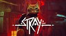 Благодаря игре Stray про рыжего кота на нужды бездомных кошек удалось собрать тысячи долларов