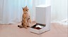 5 проверенных автоматических кормушек для кошек и собак