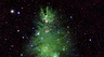 NASA опубликовало фото скопления звезд в форме новогодней елки