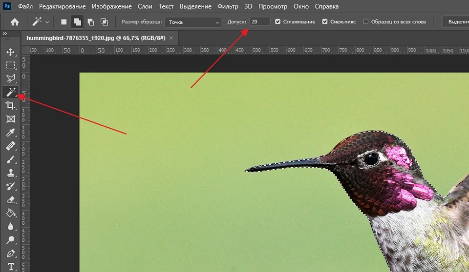 Как вырезать объект в Фотошопе: обзор инструментов Как вырезать объект в Фотошопе: обзор инструментов