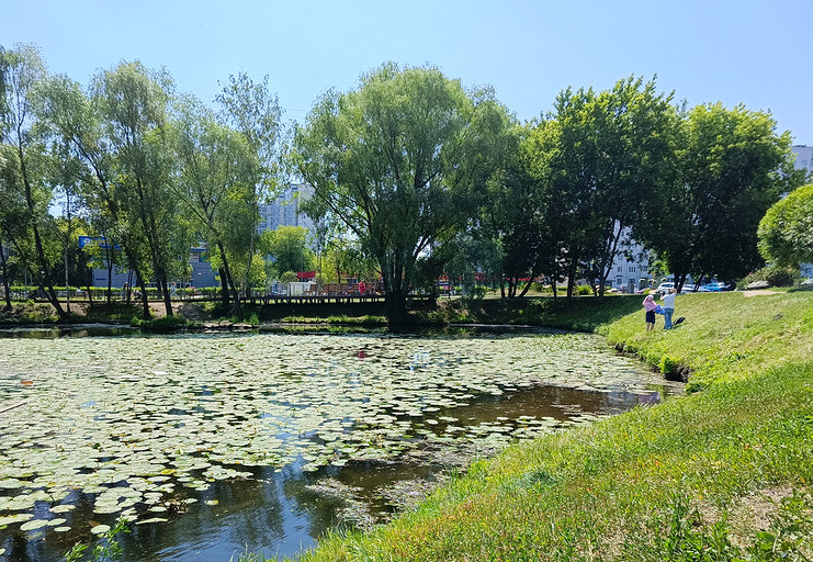 Обзор смартфона TECNO CAMON 20 Premier 5G