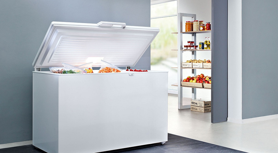 Как выбрать морозильную камеру для дома