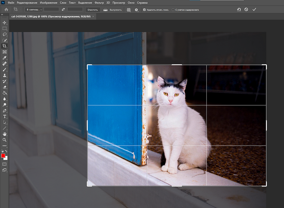 Как обрезать изображение в Фотошопе: инструменты на выбор