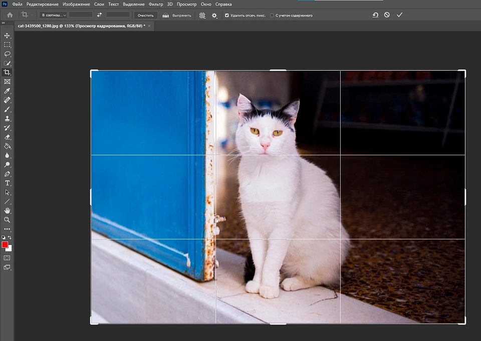 Как обрезать изображение в Фотошопе: инструменты на выбор Как обрезать изображение в Фотошопе: инструменты на выбор