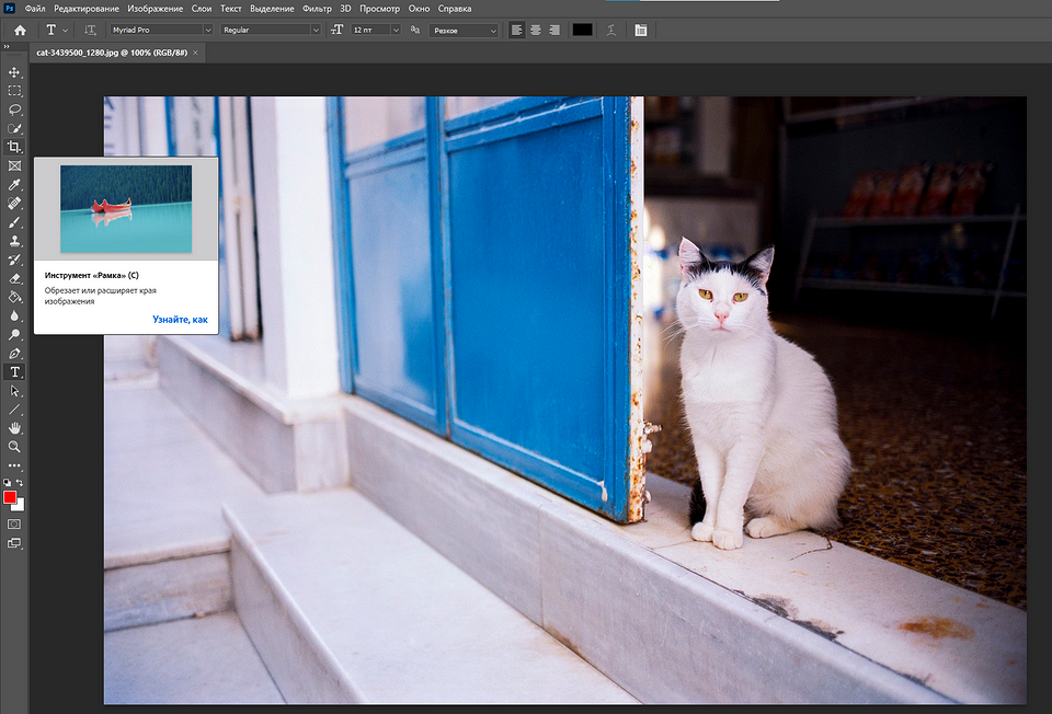 Как обрезать изображение в Фотошопе: инструменты на выбор