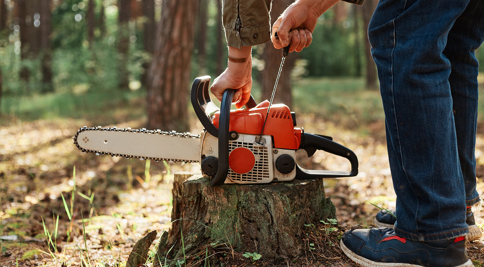 Как завести бензопилу после зимовки — готовим инструмент к началу сезона