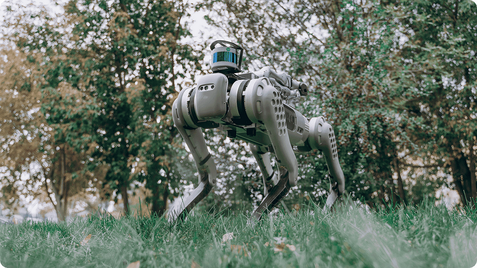 Робособаки — еще мечта или уже реальность?