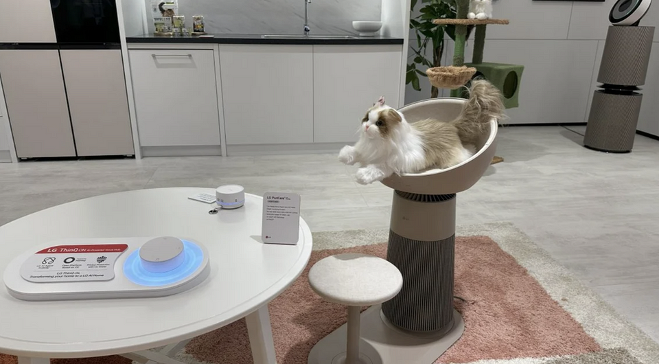 Вещь дня: LG представила замурчательный очиститель воздуха AeroCat с лежанкой для кота и когтеточкой