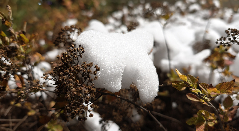 Обзор смартфона Xiaomi 14T Pro: субфлагман с крутым железом и нейросетями