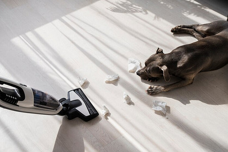 Рейтинг недорогих вертикальных пылесосов: что покупать в 2026 году