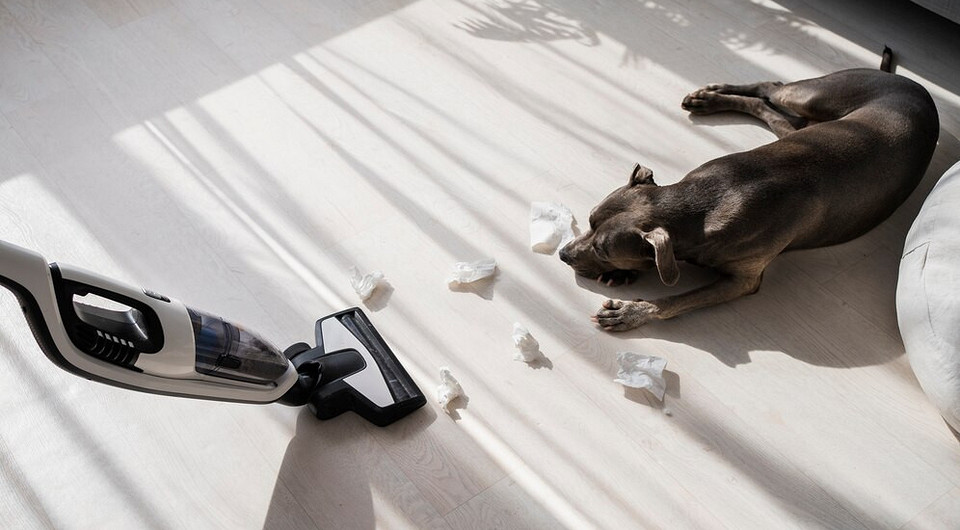 Рейтинг недорогих вертикальных пылесосов: что покупать в 2025 году