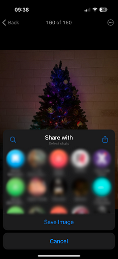 Как из Телеграмма переслать в Ватсап сообщения, фото и видео