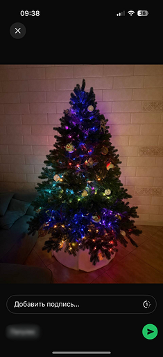 Как из Телеграмма переслать в Ватсап сообщения, фото и видео