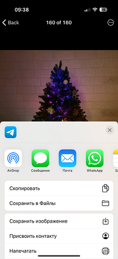 Как из Телеграмма переслать в Ватсап сообщения, фото и видео