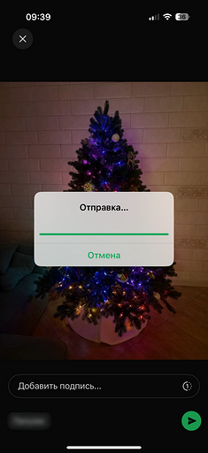 Как из Телеграмма переслать в Ватсап сообщения, фото и видео
