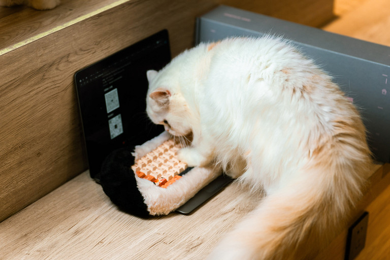 Выпущена пушистая клавиатура Dry Studio Petbrick 65 для фанатов котиков