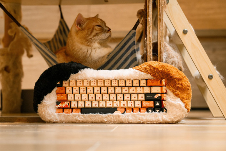 Выпущена пушистая клавиатура Dry Studio Petbrick 65 для фанатов котиков