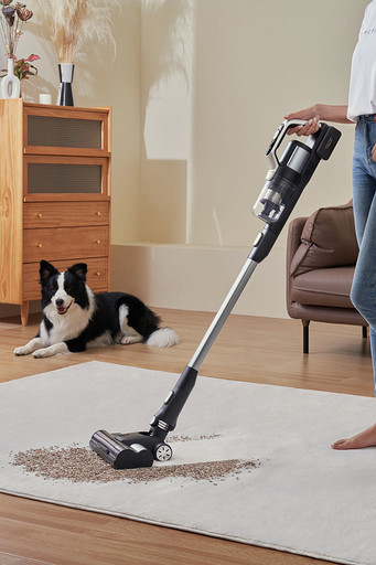 Нужен ли пылесос для сухой уборки, если есть моющий?