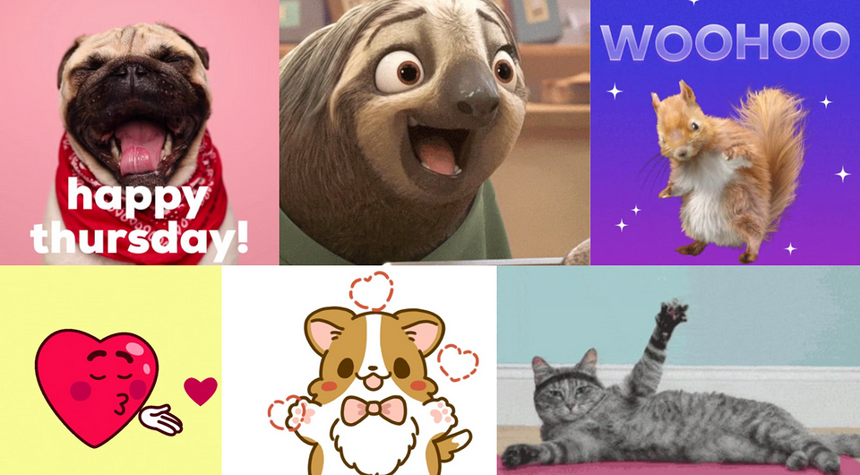 Как сделать гифку из видео на компьютере и телефоне: 4 простых и быстрых способа