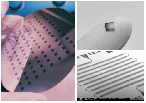 В «Бауманке» запускают первое в России контрактное производство квантовых процессоров