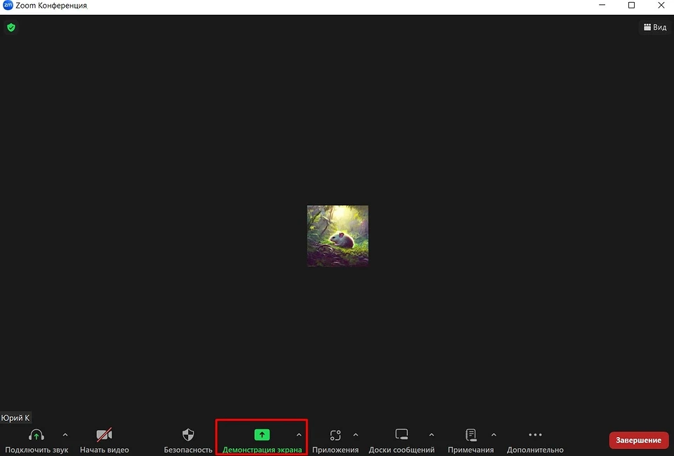 Как в Зуме включить демонстрацию экрана — простая инструкция Как в Зуме включить демонстрацию экрана — простая инструкция