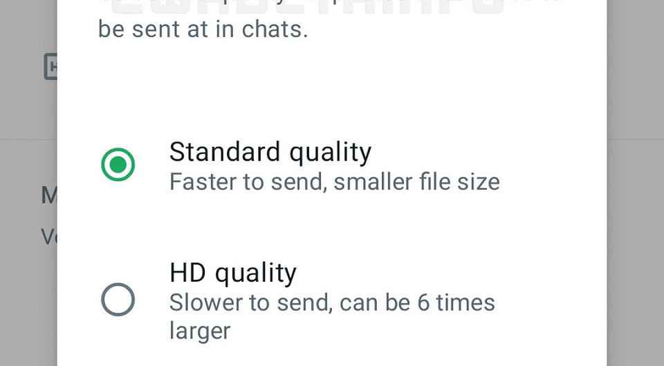 WhatsApp наконец-то перестал портить фотографии при отправке