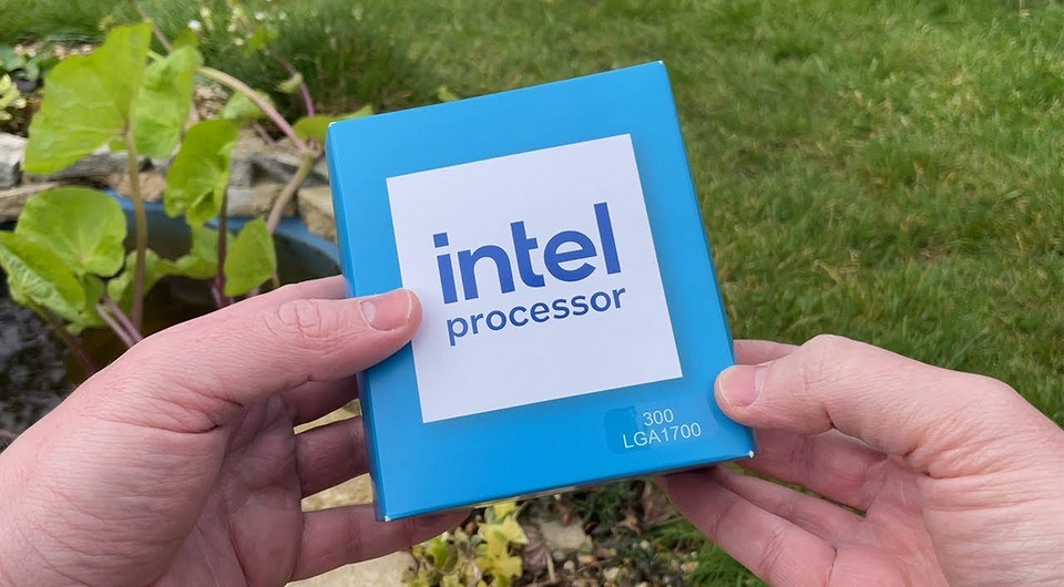 На что-то годится? Бюджетный процессор Intel 300 протестировали в 8 популярных играх