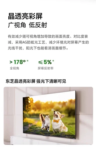 Toshiba представила MiniLED-телевизоры Regza — от 65 до 100 дюймов